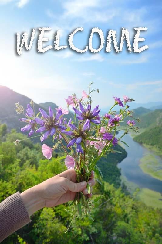 Solimar Daire Budva Dış mekan fotoğraf